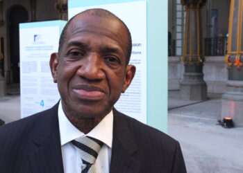 Environnement en Guinée : « On a beaucoup de lois, mais peu de décrets d&rsquo;application » • RFI