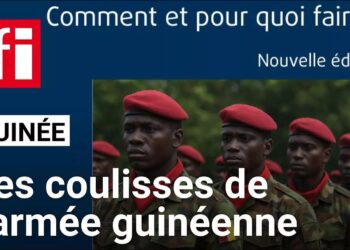 M. A. Barry : « L&rsquo;erreur d&rsquo;Alpha Condé est d’avoir créé une unité de force spéciale sans contrôle »