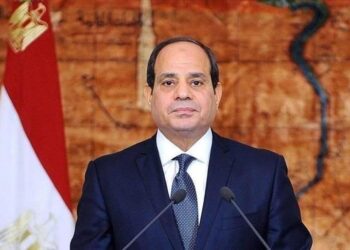 Abdel Fattah de l’Egypte veut « ouvrir de nouveaux horizons des coopérations » avec la Guinée