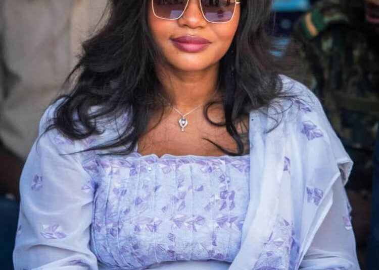 La ministre Khaïté Sall : « Le système de santé est aujourd’hui confronté à de grands défis »