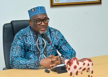 Pour « la réduction du prix des moutons et bœufs », le ministre Félix Lamah annonce l’opération Tabaski