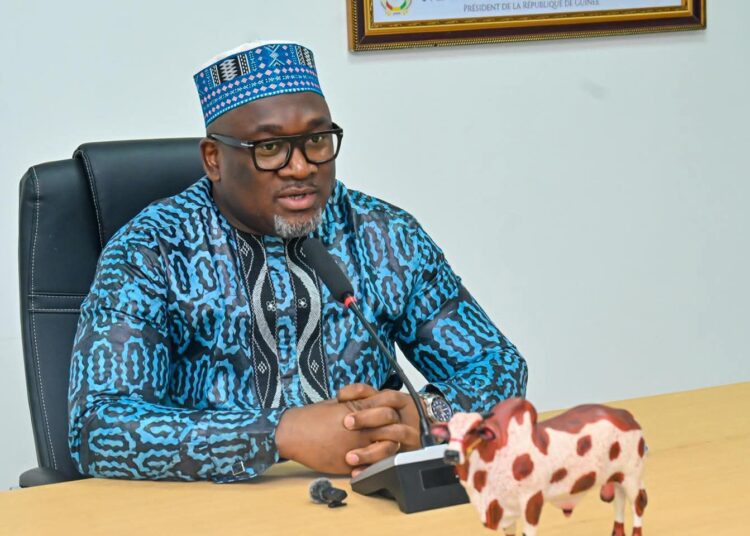 Pour « la réduction du prix des moutons et bœufs », le ministre Félix Lamah annonce l’opération Tabaski