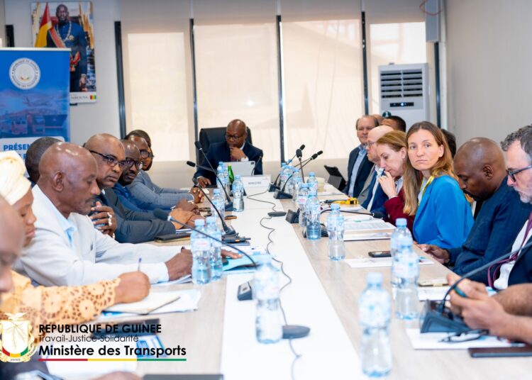 Des entreprises françaises annoncent des investissements en Guinée : « Conakry est en très fort développement urbain »